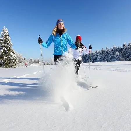 Vortuna Gesundheitsresort Отель 4*